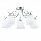Потолочная люстра EVOLUCE SLE103902-05 LIADA