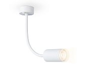 Светильник настенно-потолочный гнущийся Ambrella light FW2469