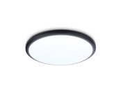 Потолочный светодиодный светильник Ambrella light FZ1233 BK