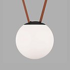 Светильник на шине Denkirs DK5552-BK BELTY ORB