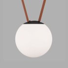 Светильник на шине Denkirs DK5552-BK BELTY ORB