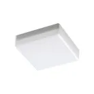 Накладной светильник NOVOTECH 358686 PANDORA