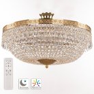 Потолочная люстра Bohemia 19011/55IV/LED-DIM G