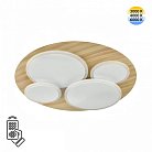 Потолочный светильник Sonex 7734/60L PINE