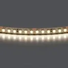 Лента белого свечения 24V Lightstar 420824