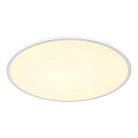 Потолочный светильник SLV 1003040 PANEL 60 ROUND DALI CL