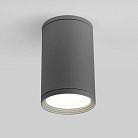 Уличный потолочный светильник Elektrostandard Light 2101 (35128/H) серый a056227