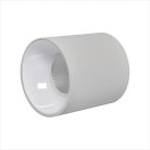 Светильник накладной iLEDEX 116-12W-D75-4K-36DG-WH Metrica