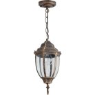 Уличный подвесной фонарь Feron 11895 PL6005