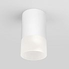 Уличный потолочный светильник Elektrostandard 35139/H белый Light LED a057157