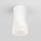 Уличный потолочный светильник Elektrostandard 35139/H белый Light LED a057157