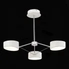 Люстра на штанге Evoluce SLE6005-502-03 Valle