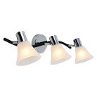 Настенный светильник Escada 661/3P