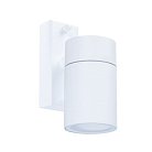 Настенно-потолочный светильнк Arte Lamp A3302AL-1WH Sonaglio MISTERO