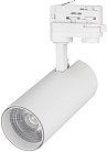 Трековый светильник Arlight 031409 GERA