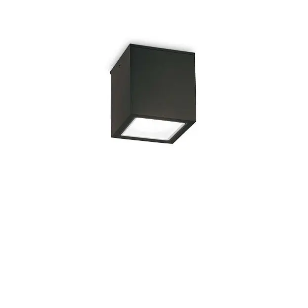 Уличный светильник Ideal Lux 251578 TECHO PL1 SMALL NERO