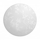 Настенно-потолочный светильник Gauss 941428215 Decor