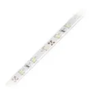 Светодиодная лента Volpe ULS-Q323 2835-60LED/m-8mm-IP65-DC12V-4,8W/m-5M-6500K катушка в герметичной упаковке