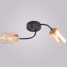 Спот Reluce 01608-0.3-02 BK+BRASS