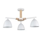 Люстра потолочная Е27 3*60W 220V Lumion 8095/3C COLANGE