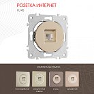 Розетка интернет, RJ45 Arte Milano 202.45-1.shampan am