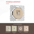 Розетка интернет, RJ45 Arte Milano 202.45-1.shampan am