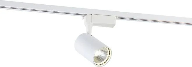 Трековый светильник Simple Story 2010-LED10TRW 2002 Трековый светильник Simple Story 2010-LED10TRW 2002