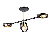Подвесной светильник Ambrella light TR8229/3 BK/SB