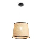 Подвесной светильник Freya FR5483PL-01B1 Mixture
