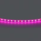 Лента цветного свечения 24V, розовый Lightstar 420512