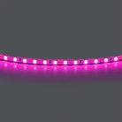 Лента цветного свечения 24V, розовый Lightstar 420512