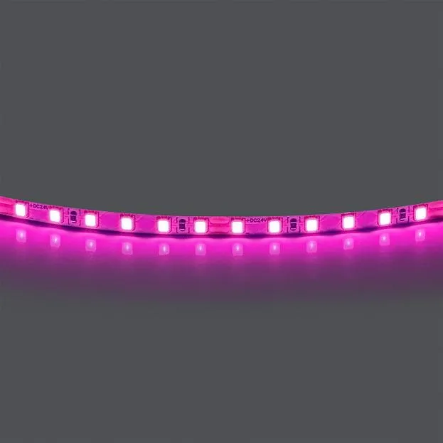 Лента цветного свечения 24V, розовый Lightstar 420512 Лента цветного свечения 24V, розовый Lightstar 420512