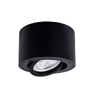 Потолочный светильник Arte Lamp A2260PL-1BK UNITO