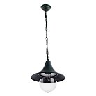 Уличный подвесной светильник Arte Lamp A1085SO-1BG MALAGA