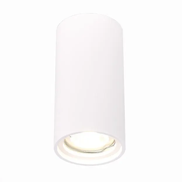 Потолочный светильник ST Luce ST155.502.01 Потолочный светильник ST Luce ST155.502.01