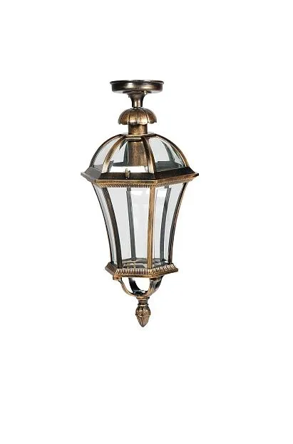 Потолочный светильник уличный Oasis Light 95205LA Gb ROMA L