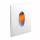 Встраиваемый светильник Donolux DL18373/11WW-White DL18373