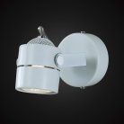 Светильник-спот настенно-потолочный Citilux CL525510 Ринг