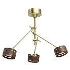 Потолочный светильник DeMarkt 725010203 Чил-аут