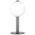 Настольная лампа Lightstar 805916 Colore