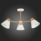 Потолочная люстра EVOLUCE SLE103702-03 BUVE