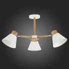 Потолочная люстра EVOLUCE SLE103702-03 BUVE
