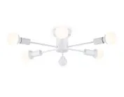 Потолочный светильник Ambrella light TR80401/6