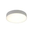 Светильник настенно-потолочный Aployt APL.0113.09.24 Evon