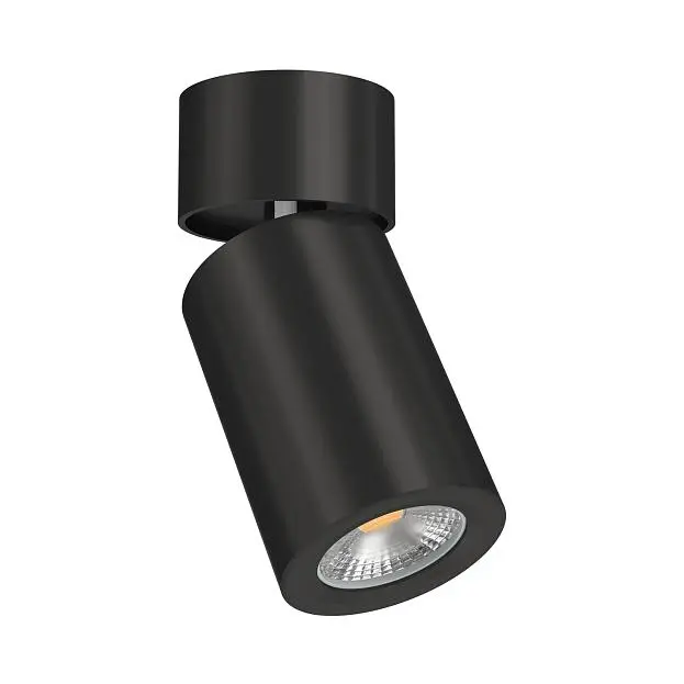 Накладной светильник LeDron AO1705002 Black AO1705001(02) Накладной светильник LeDron AO1705002 Black AO1705001(02)