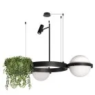 Подвесной светильник LOFT IT 10121/2 Jardin