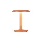 Настольная лампа Lucide 03553/02/53 AGAR