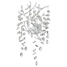 Бра ODEON LIGHT 4970/3W DELICA