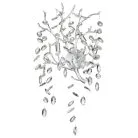 Бра ODEON LIGHT 4970/3W DELICA