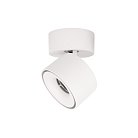 Накладной светильник LOFT IT 10323/A White Focus
